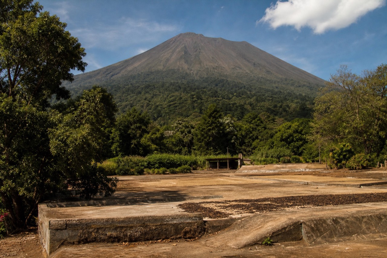 Santa Ana Volcano seen across coffee farms in the western highlands of El Salvador in late afternoon light